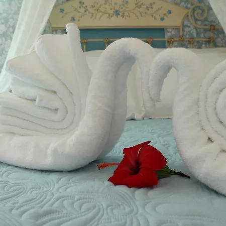 Evizorzia Apartment